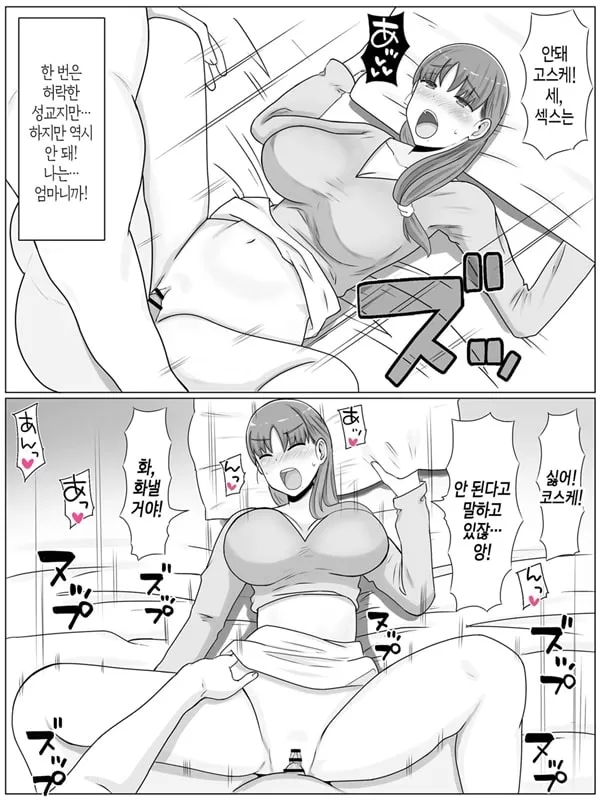 엄마와 하고 싶은 일~절륜 아들과의 성활 회상편