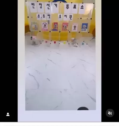 별걸다하네
